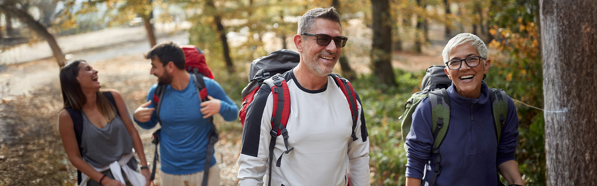 Group hiking through a forest trail